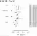 Fig. 19 - Methods for subtyping of head and neck squamous cell carcinoma