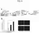 Fig. 05 - METHOD FOR SUPPRESSING BRAIN METASTASIS