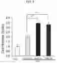 Fig. 08 - METHOD FOR SUPPRESSING BRAIN METASTASIS