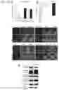 Fig. 15 - METHOD FOR SUPPRESSING BRAIN METASTASIS