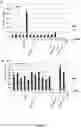 Fig. 04 - Soybean transgenic event MON87751 and methods for detection and use thereof
