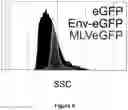 Fig. 07 - FLUORESCENT ENVELOPED VIRAL PARTICLES AS STANDARDS FOR NANOSALE FLOW CYTOMETRY
