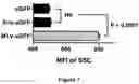 Fig. 08 - FLUORESCENT ENVELOPED VIRAL PARTICLES AS STANDARDS FOR NANOSALE FLOW CYTOMETRY