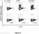Fig. 09 - FLUORESCENT ENVELOPED VIRAL PARTICLES AS STANDARDS FOR NANOSALE FLOW CYTOMETRY