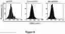 Fig. 10 - FLUORESCENT ENVELOPED VIRAL PARTICLES AS STANDARDS FOR NANOSALE FLOW CYTOMETRY