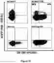 Fig. 22 - FLUORESCENT ENVELOPED VIRAL PARTICLES AS STANDARDS FOR NANOSALE FLOW CYTOMETRY