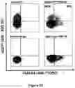 Fig. 23 - FLUORESCENT ENVELOPED VIRAL PARTICLES AS STANDARDS FOR NANOSALE FLOW CYTOMETRY