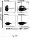 Fig. 24 - FLUORESCENT ENVELOPED VIRAL PARTICLES AS STANDARDS FOR NANOSALE FLOW CYTOMETRY