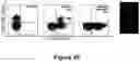 Fig. 26 - FLUORESCENT ENVELOPED VIRAL PARTICLES AS STANDARDS FOR NANOSALE FLOW CYTOMETRY