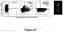 Fig. 30 - FLUORESCENT ENVELOPED VIRAL PARTICLES AS STANDARDS FOR NANOSALE FLOW CYTOMETRY
