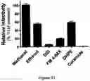 Fig. 32 - FLUORESCENT ENVELOPED VIRAL PARTICLES AS STANDARDS FOR NANOSALE FLOW CYTOMETRY