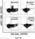 Fig. 33 - FLUORESCENT ENVELOPED VIRAL PARTICLES AS STANDARDS FOR NANOSALE FLOW CYTOMETRY