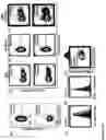 Fig. 34 - FLUORESCENT ENVELOPED VIRAL PARTICLES AS STANDARDS FOR NANOSALE FLOW CYTOMETRY