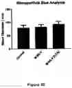 Fig. 40 - FLUORESCENT ENVELOPED VIRAL PARTICLES AS STANDARDS FOR NANOSALE FLOW CYTOMETRY