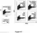 Fig. 41 - FLUORESCENT ENVELOPED VIRAL PARTICLES AS STANDARDS FOR NANOSALE FLOW CYTOMETRY
