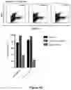 Fig. 42 - FLUORESCENT ENVELOPED VIRAL PARTICLES AS STANDARDS FOR NANOSALE FLOW CYTOMETRY