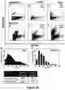 Fig. 46 - FLUORESCENT ENVELOPED VIRAL PARTICLES AS STANDARDS FOR NANOSALE FLOW CYTOMETRY