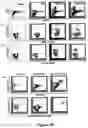 Fig. 47 - FLUORESCENT ENVELOPED VIRAL PARTICLES AS STANDARDS FOR NANOSALE FLOW CYTOMETRY