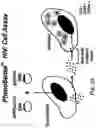 Fig. 03 - Methods for determining resistance or susceptibility to HIV entry inhibitors