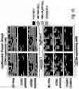 Fig. 05 - Methods for determining resistance or susceptibility to HIV entry inhibitors