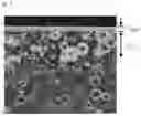 Fig. 03 - METHOD FOR HEAT-TREATING UPPERMOST SURFACE OF SPHEROIDAL GRAPHITE CAST IRON AND SPHEROIDAL GRAPHITE CAST IRON HEAT-TREATED BY THE SAME