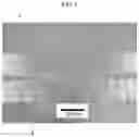 Fig. 02 - AMORPHOUS ALLOY RIBBON AND METHOD FOR MANUFACTURING SAME