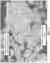 Fig. 06 - HARD POWDER PARTICLES WITH IMPROVED COMPRESSIBILITY AND GREEN STRENGTH