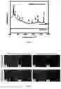 Fig. 04 - FABRICATION PROCESS OF 3D-STRUCTURED SURFACE-ENHANCED RAMAN SPECTROSCOPY (SERS) SUBSTRATES BY USING A LASER MARKING MACHINE TO CREATE ROUGHNESS ON METAL SHEETS