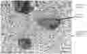 Fig. 01 - Ferromagnetic material sputtering target