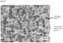 Fig. 03 - Ferromagnetic material sputtering target