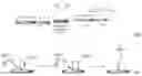 Fig. 04 - Methods for selective deposition of dielectric on silicon oxide
