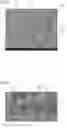 Fig. 04 - Single-crystal diamond and method of manufacturing the same