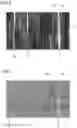 Fig. 05 - Single-crystal diamond and method of manufacturing the same