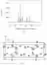 Fig. 02 - Calcium metaborate birefringent crystal, preparation method and use thereof