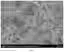 Fig. 03 - Thermally and dimensionally stabilized compositions and methods of making same