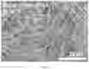 Fig. 07 - Thermally and dimensionally stabilized compositions and methods of making same