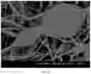 Fig. 11 - Thermally and dimensionally stabilized compositions and methods of making same
