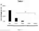 Fig. 18 - Thermally and dimensionally stabilized compositions and methods of making same