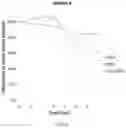 Fig. 22 - Thermally and dimensionally stabilized compositions and methods of making same