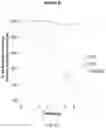 Fig. 23 - Thermally and dimensionally stabilized compositions and methods of making same