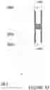 Fig. 33 - Building block system of prefabricated non-masonry mortarless interlocking building blocks with cap attachments