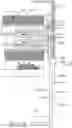 Fig. 14 - Spring roller blind system