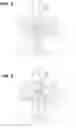 Fig. 06 - Power transmission shaft