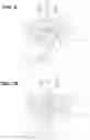 Fig. 08 - Power transmission shaft