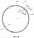 Fig. 12 - Seal ring