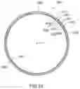 Fig. 52 - Seal ring