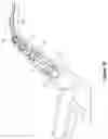 Fig. 15 - Cable management apparatus and system