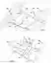 Fig. 03 - Lighting apparatus and related methods