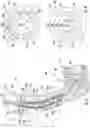 Fig. 05 - Heat exchanger for turbo machine