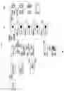 Fig. 20 - Refrigerator and control method thereof